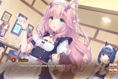 216423